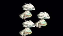 Three lil Tulins Meme Template