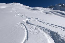 tracks in the snow | Spuren im Schnee Meme Template