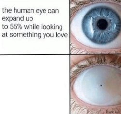 the human eye Meme Template