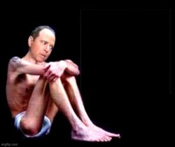 Adam Schiff will boycott Trump's SOTU address Meme Template