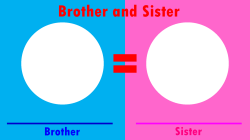 X And Y Are Brother And Sister Meme Template
