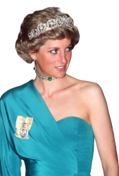 Princess Diana Meme Template