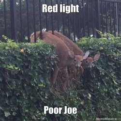 Raven8u Meme Template