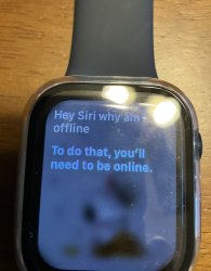 Siri hate me Meme Template