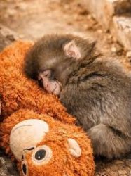 punch hugging Meme Template