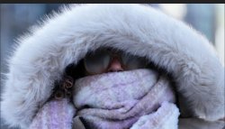 Robin at Myrtle Beach today Meme Template