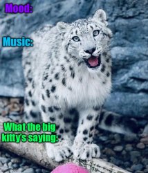 AprilTheTGirl’s announcement temp Meme Template