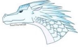 Winter Meme Template