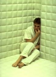 Green padded room Meme Template