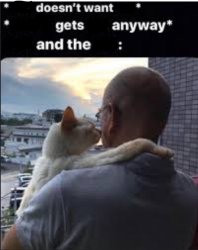 Dad and the Cat Meme Template