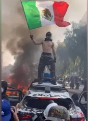 Mexico flag Protestor Meme Template