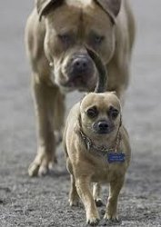 Scared Meme Template