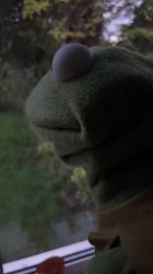Kermit Meme Template