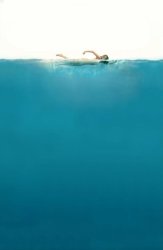 JAWS poster template Meme Template