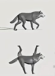 Walk versus Sleepwalking Meme Template