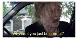 Why cab’t you just be nornal Meme Template