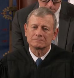 John Roberts Judges You Meme Template