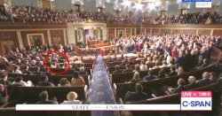 Congressional Bird Meme Template