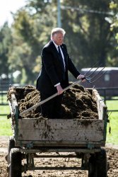 Donald Trump shoveling manure State of the Union Meme Template