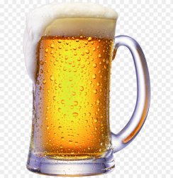 Beer Meme Template