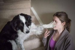 Chrisjoines1 Meme Template