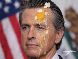 newsom egg Meme Template