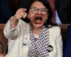 Democrats Meme Template