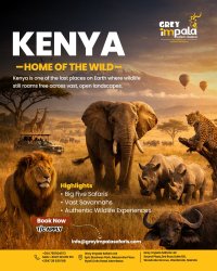 Kenya – Home of the Wild Meme Template