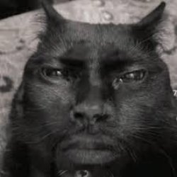 Human faced cat Meme Template