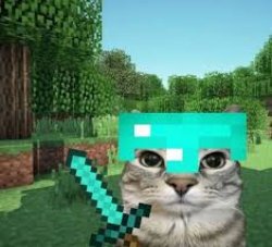 minecraftkitty Meme Template