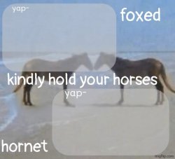 horses announcement template Meme Template