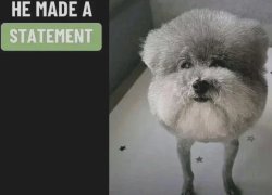 He made a Statement Meme Template