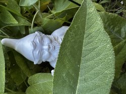 Weird gnome Meme Template