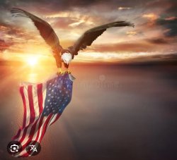 Freedom Meme Template