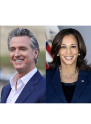 newsom harris Meme Template