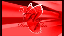 Fly Home Video Logo Horror Edit Meme Template