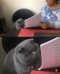 cat looking test teacher Meme Template