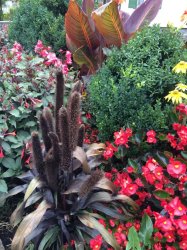 Garden Meme Template