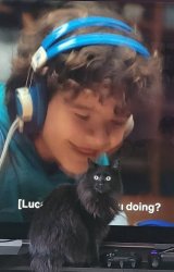 What're You Doing? (Cat) Meme Template