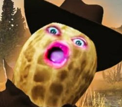 Bungie community when Peanut yell Meme Template