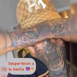 DESPERTARON A LA BESTIA Meme Template