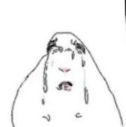 Sad white hamster Meme Template