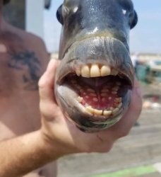 Jabbed and fine Meme Template