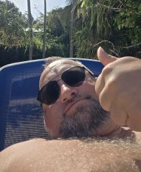 Stary Doggo Meme Template