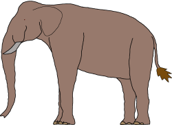 Female Palaeoloxodon (Paleoverse + EOIverse) Meme Template