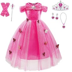 Cinderella Butterfly Princess Dress Costume Halloween Birthady . Meme Template