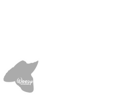 Woody Channel Screen Bug (2003-2011) Meme Template