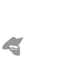 Toon Woody Screen Bug (2005-2010) Meme Template