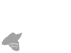 Playhouse Woody Screen Bug (2004-2012) Meme Template