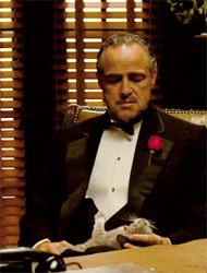 Godfather with cat Meme Template